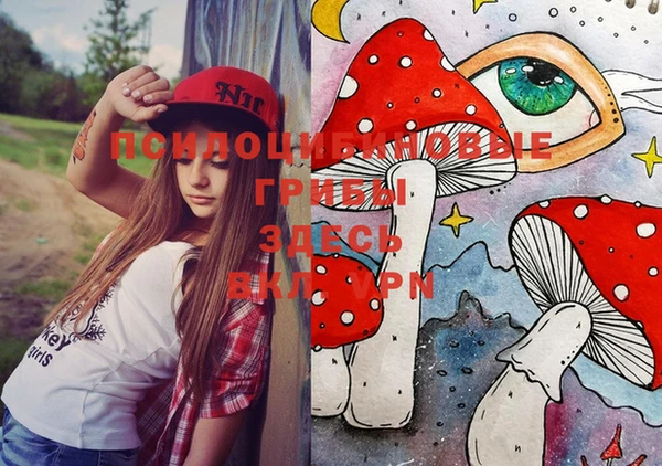 MDMA Premium VHQ Медвежьегорск
