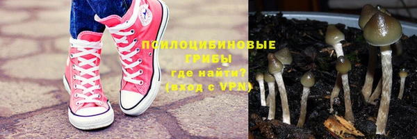 МДПВ Медногорск
