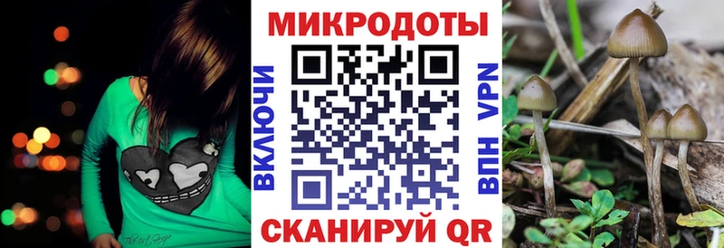 Галлюциногенные грибы ЛСД  купить закладку  Урень 